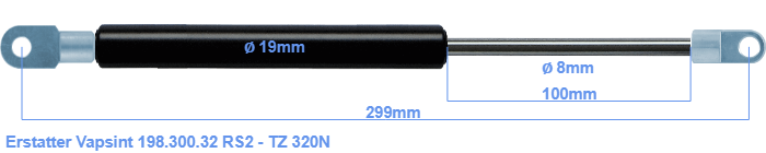 Vapsint 198.300.32 RS2 - TZ